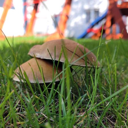 Apartamenty Morski Brzeg - Sauna, Balia Władysławowo المظهر الخارجي الصورة